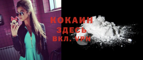 хмурый Абаза