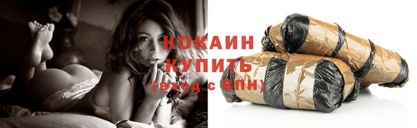 хмурый Абаза