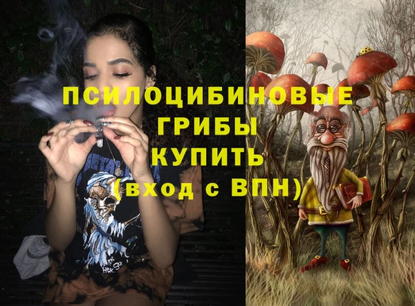 хмурый Абаза