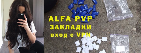 хмурый Абаза