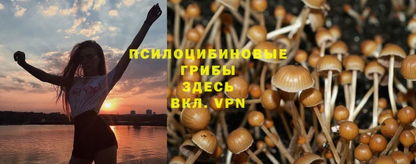 хмурый Абаза