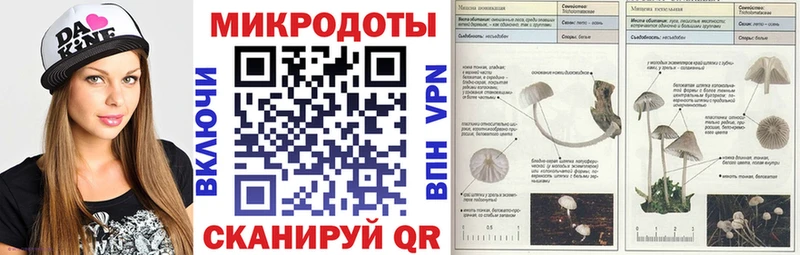 где продают   даркнет клад  Псилоцибиновые грибы Psilocybe  Анадырь 